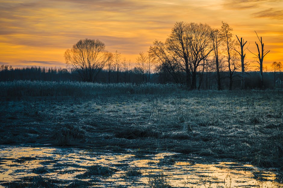 Warum friert warmes Wasser schneller als kaltes Wasser?