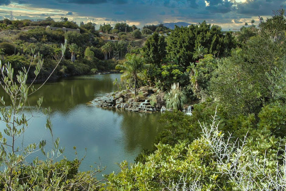  Wasser in den Beinen: Ursachen, Symptome und mögliche Behandlungen