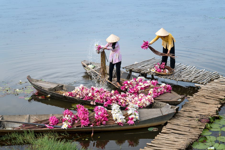  Überleben von Blumen ohne Wasser